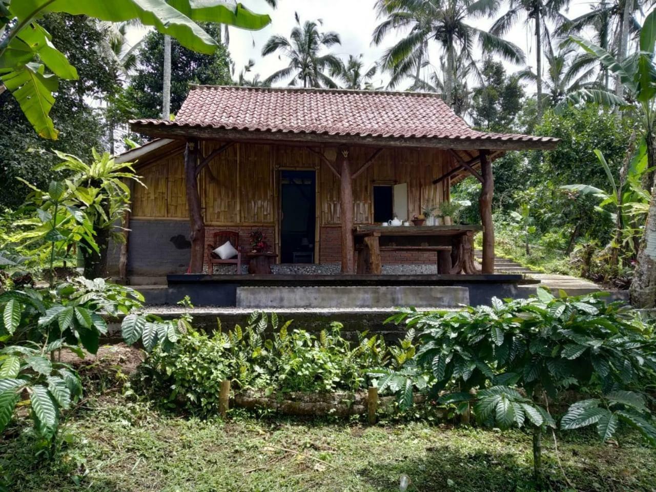 Bali mountain forest cabin Penebel Exterior foto